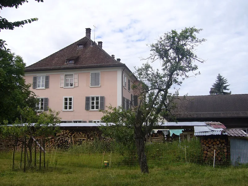Pink house — Adler Basi, Bassersdorf